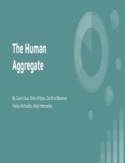 human aggregates